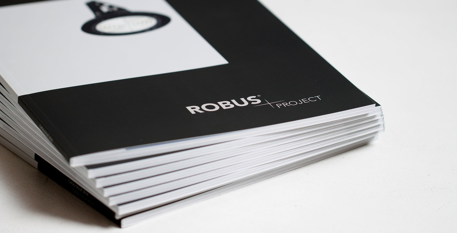 ROBUS Project Brochure - Logo